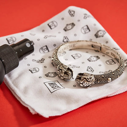 Watch Cleaning Kit